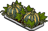 Greenfang Gourd