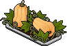 Sunhollow Squash